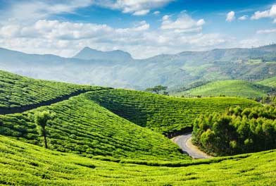 munnar kerala