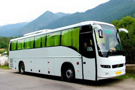 bus